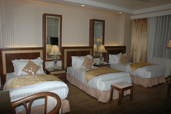 Hotel Picasso Paschim Vihar Delhi - Couple Friendly Local Ids Accepted Экстерьер фото